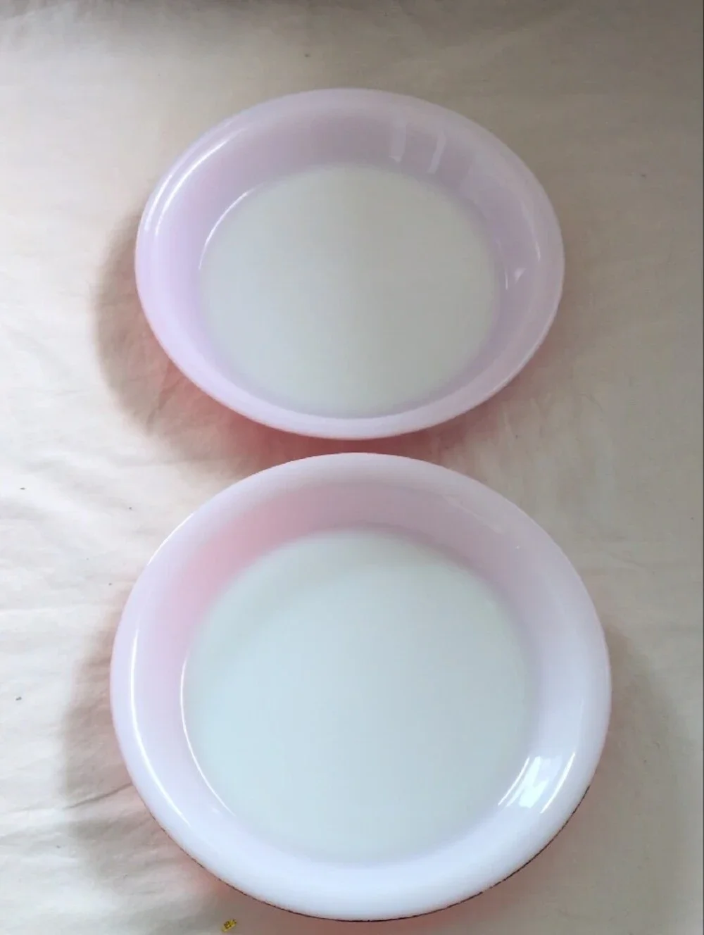 Vintage Pyrex Pink Enamel Serving Bowls - Pair